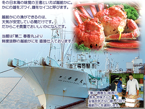 当館は「第二 春香丸」より鮮度抜群の越前がにを 直接仕入ております。